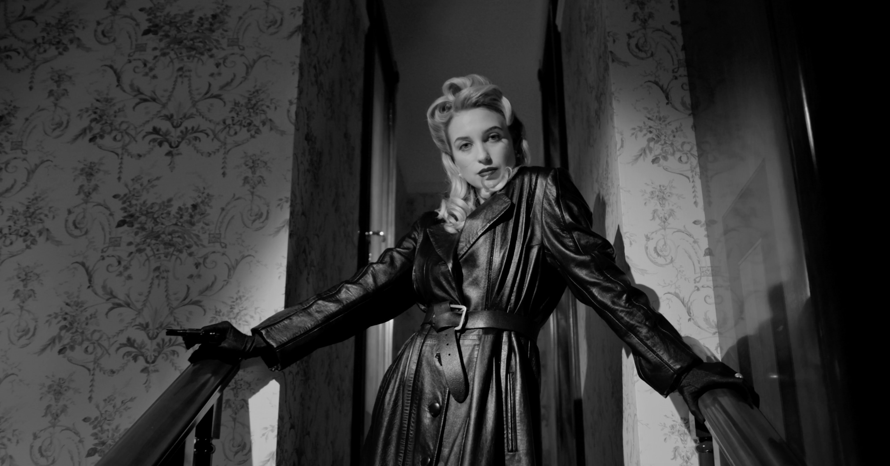 Elena Vane project preview